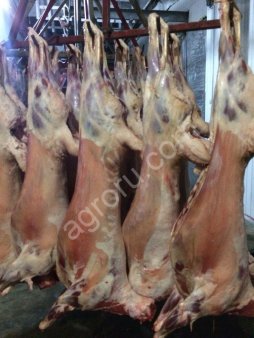 Свежая Баранина,Ягнятина тушки охлажденная