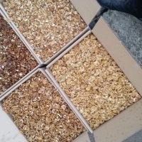 ОРЕХ ГРЕЦКИЙ