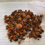 Желчный камень КРС