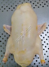 Мясо и мясные продукты