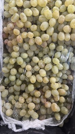 Афганский свежий виноград ТАЙФИ