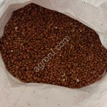 Ядра Арахиса