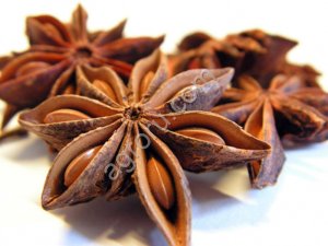 Бадьян звездчатый анис