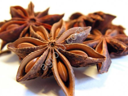 Бадьян звездчатый анис