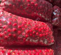 Редис свежий урожай