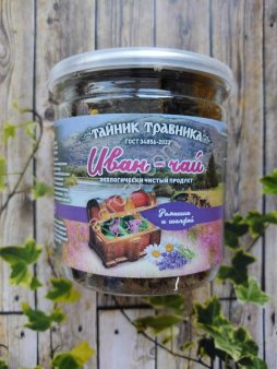 Иван чай с чагой