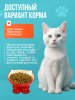 Сухой корм для кошек Рыжик 5кг
