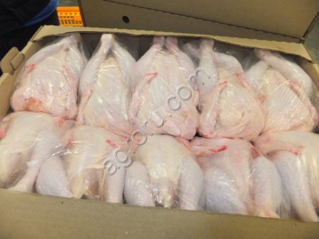 Чаплыгин Сергей Викторович