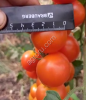 Томаты черри