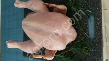 Домашние бройлеры