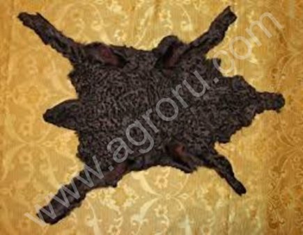 Шкуры Овечие