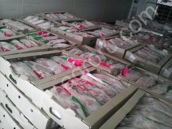 УТКИ-ХАЛЯЛЬ