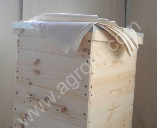 Курсы для начинаюших пчеловодов