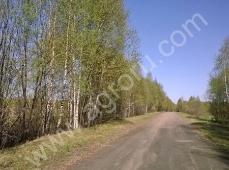 Земельный участок (с/х назначение) площадью 4 Га