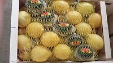 фрукты , овощи