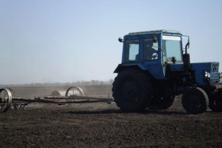 Ход ярового сева: на 16 мая зерновыми засеяно 55% площадей