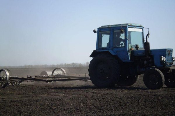 Ход ярового сева: на 16 мая зерновыми засеяно 55% площадей