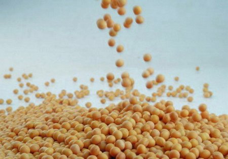 Соевый скандал на Кубани