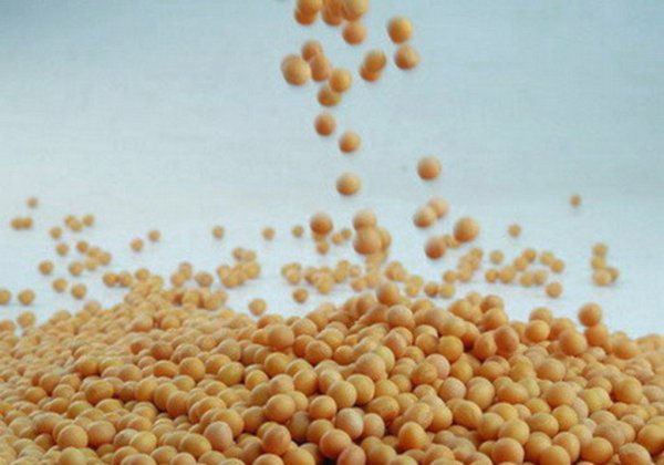 Соевый скандал на Кубани