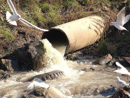 Молочные реки текут в водоём
