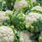 Цветная капуста оптом.