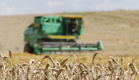 Донские хлеборобы приступили к уборке ранних зерновых культур