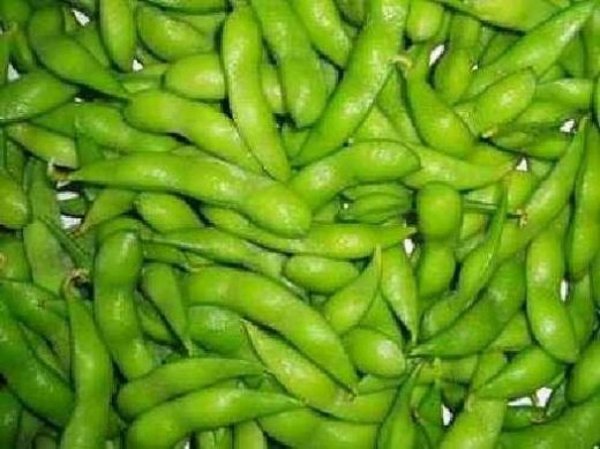 Украинская соя: рецепт выхода на зарубежные рынки