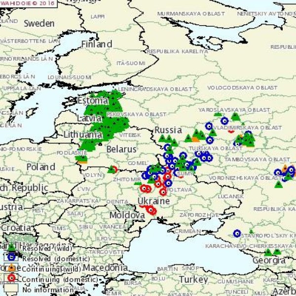 Количество вспышек АЧС в Евросоюзе выросло за год в шесть раз