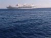 Алжир закупил от 700 тыс. тонн до 1 млн. тонн мукомольной пшеницы