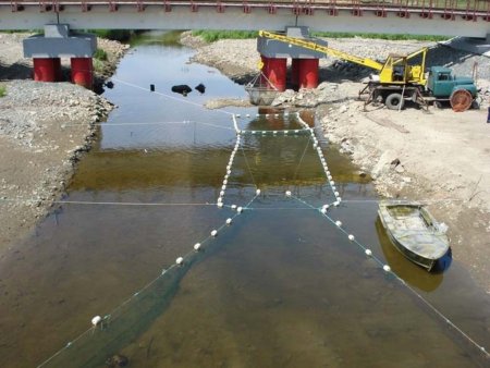 Лососевая путина-2011 стартовала на Камчатке