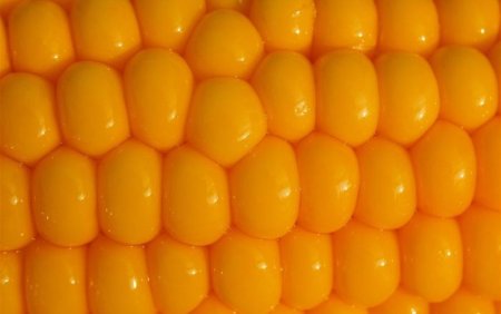 Россия экспортировала рекордное количество кукурузы