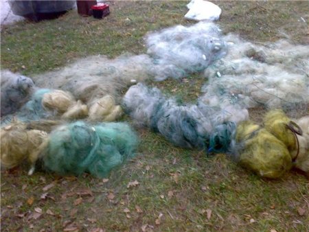 Неизвестные браконьеры установили 6 сетей на Кершинском водохранилище