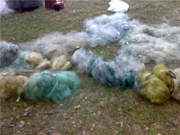 Неизвестные браконьеры установили 6 сетей на Кершинском водохранилище