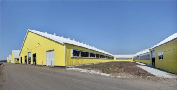 Итоги смотра пастбищ