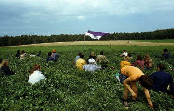 Украина: в Черновицкой области увеличился урожай основных сельскохозяйственных культур