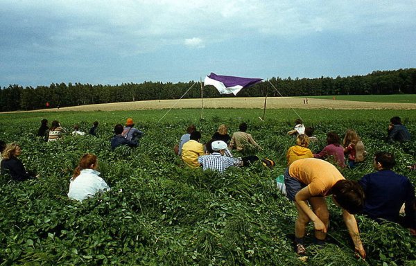 Украина: в Черновицкой области увеличился урожай основных сельскохозяйственных культур