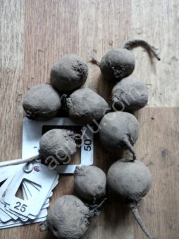 На корм животным