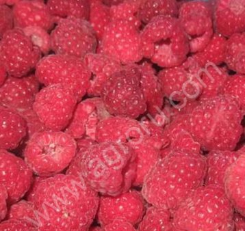 Голубика, малина, ежевика