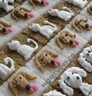 ряд оборудования для производства сахара различных форм - кубики разных цветов и размеров