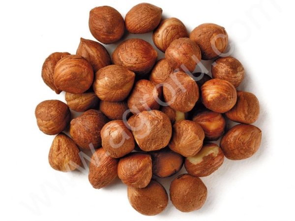 Ядро фундука 13-15