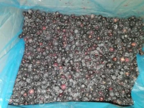 Черника садовая замороженная