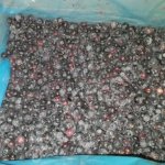 Черника замороженная