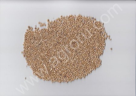 Сорго Бригга