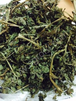 Медуница трава