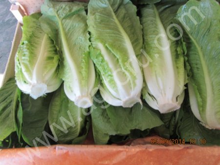 Салат Романо