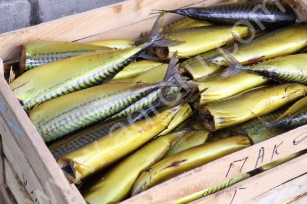 Скумбрия без головы натурального копчения