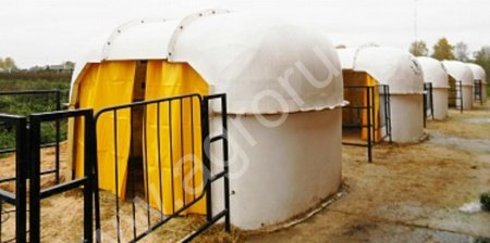 Домики для телят