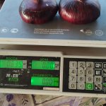 Ялтинский лук