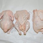 МЯСОПРОДУКЦИЯ ЗАМОРОЖЕННАЯ/ОХЛАЖДЕННАЯ; СУБПРОДУКТЫ