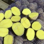 Картофель социальный